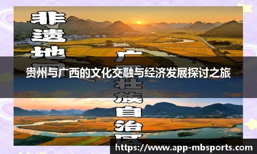 贵州与广西的文化交融与经济发展探讨之旅